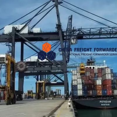 Быстрый морской экспедитор доставка полного контейнера Китай в Канаду