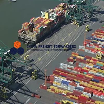 Быстрый морской экспедитор доставка полного контейнера Китай в Канаду